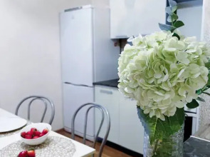 Апартаменты Park Inn Hause 1