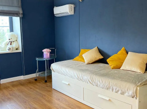 Квартира Толстой на Лейтейзена 3