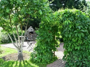 Хутор Старая Кууса