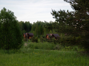 Коттедж Новгородская Деревня