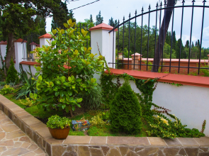 Отель Даламия