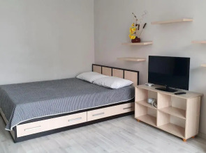 Апартаменты Comfort Russia Партизанская 55