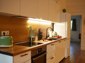 Частный дом Большая Репинская дача в лесу