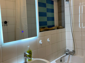 Апартаменты Оранжерея