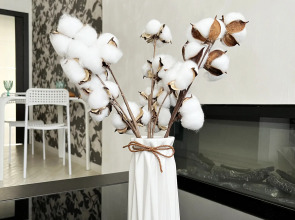 Апартаменты Династия