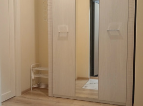 Милая Студия у аэропорта