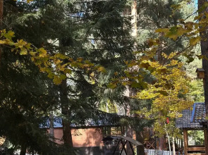 База Отдыха Sabr