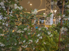 Отель Ocean Blue High Class