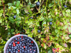 Частный дом в Снетково у озера