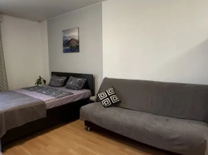 Квартира в центре на Смолина