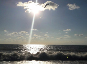 Отель Парк-отель Rivas