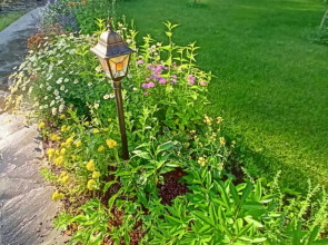 Гостевой Дом Вырицкий Мамонт