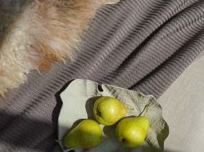 Гостевой дом Alpina house