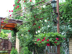 Гостевой дом У Друзей