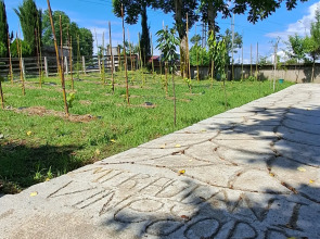 Апарт-отель Mtrediani Wine Lodge