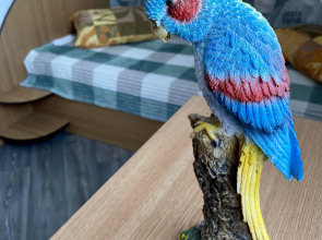 Гостевой дом 38 Попугаев