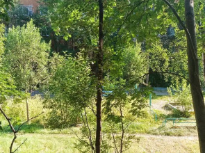 Апартаменты Уютный Север на Улице Новое Плато 5