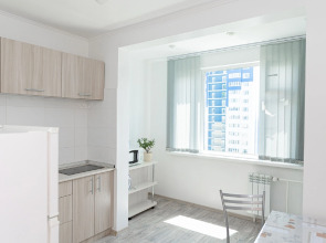 Апартаменты на Емельянова 35А 2