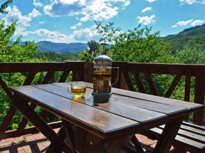 Гостевой дом Аммонит