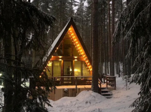 Частный дом Уютный дoм A-frame