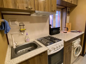 Меблированные комнаты у Светланы