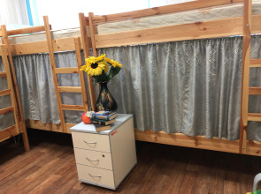 Хостел Подсолнух