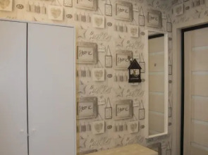 Апартаменты однокомнатные Премиум с джакузи на Парижской коммуны 40