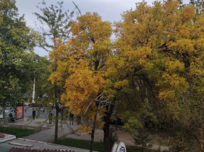 Апартаменты Уютная Квартира Для 2х Персон Ахунбаева - Мира