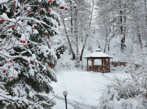 Гостевой Дом Каменный Цветок