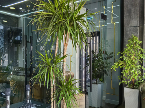 Отель Шымкент Парк Отель