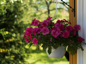 База отдыха Антлер