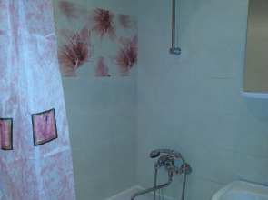 Квартира 1-комнатная квартира у метро пр. Большевиков