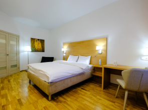 Апартаменты Петровские на Советской 90 (4)