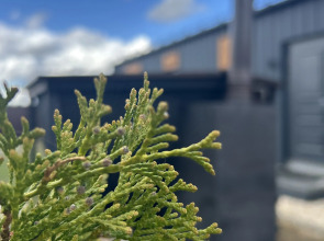 Гостевой дом Эко-Дом у Озера