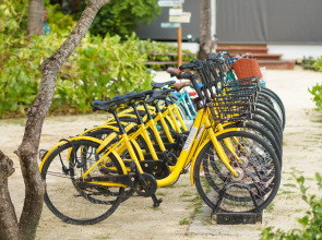 Отель Saii Phi Phi Island Village