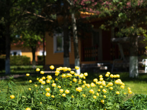 База отдыха Антлер