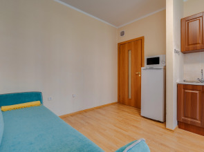 Апартаменты Пушкин