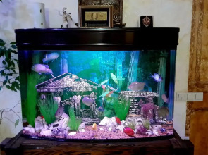 Гостевой дом Колибри