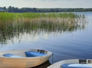 Гостевой Дом Шишки