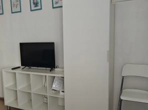 Студия Flamingo метро Ладожская