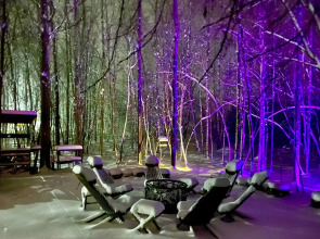 Коттедж Шале-солнечный