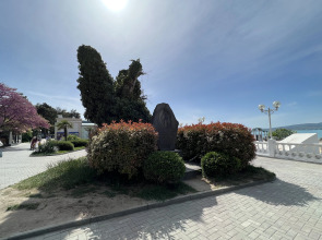 Квартира однокомнатная Шевченко 3