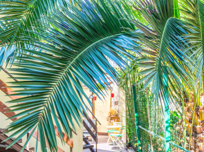 Гостевой Дом Бамбук-Хутор