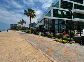 Апартаменты на берегу моря, Batumi View