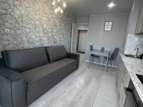 Квартира около стадиона Локомотив