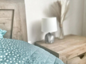 Квартира Елена Озерки