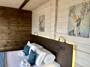 Отель BaikalWood Hotel & Spa