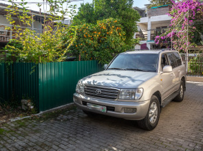 Меблированные комнаты Никус