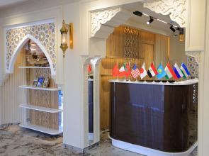 Отель AMIR PLAZA