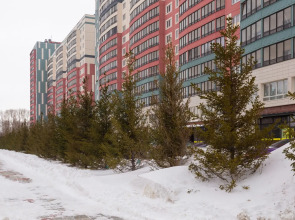 Апартаменты семейные Vetka Home на Красном проспекте